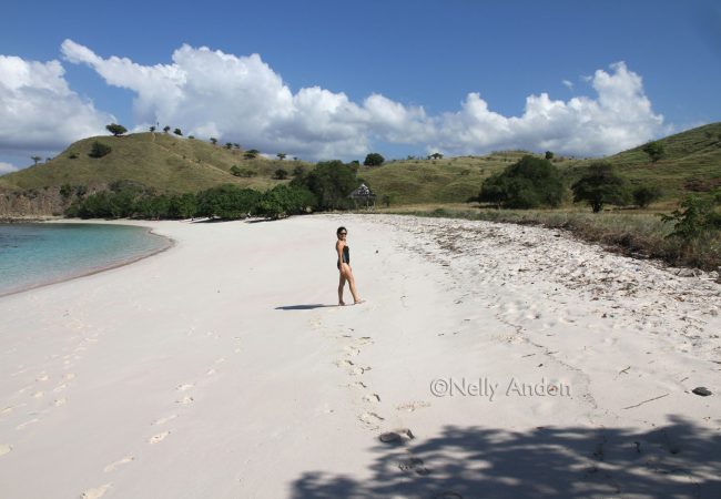 My Komodo adventure – Pink Beach (Pantai Koral)